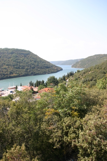 IMG_6498_2.jpg