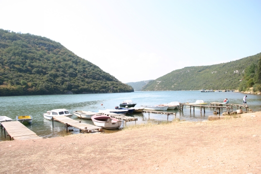 IMG_6501_2.jpg