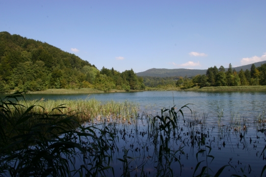 IMG_6577_2.jpg