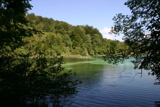 IMG_6578_2.jpg