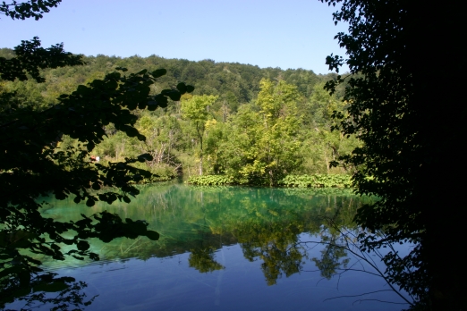 IMG_6583_2.jpg