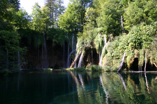 IMG_6590_2.jpg