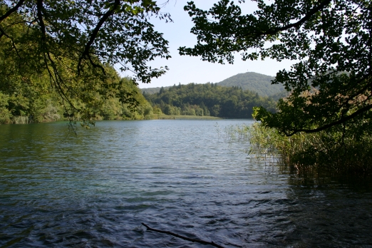 IMG_6600_2.jpg