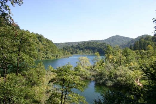 IMG_6602_2.jpg
