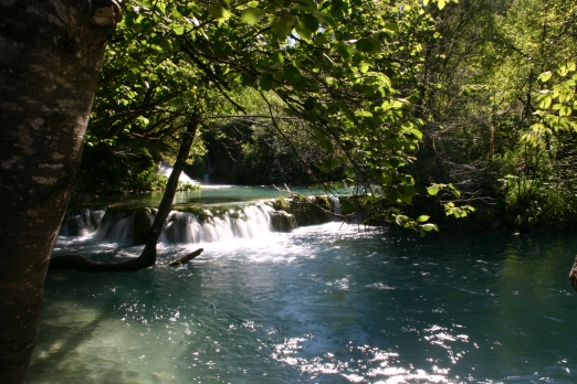 IMG_6630_2.jpg