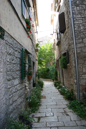 IMG_6665_2.jpg
