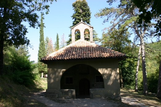 IMG_6856_2.jpg