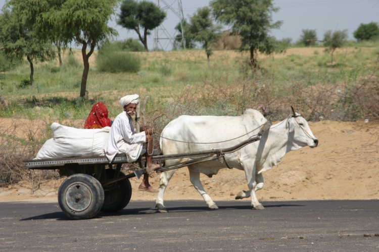 INDE012.jpg