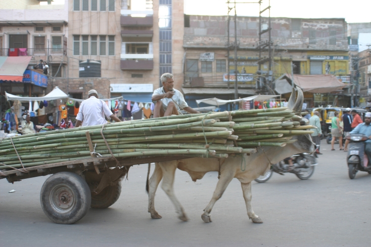 INDE042.jpg