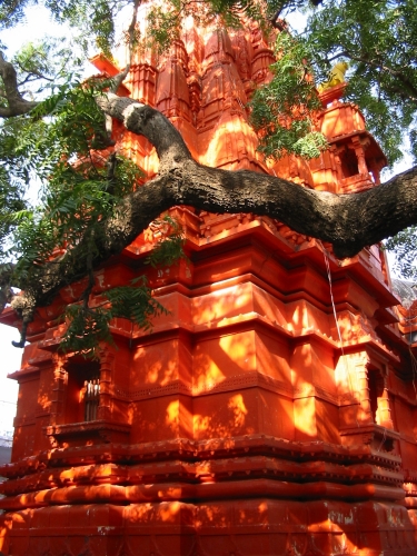 INDE073.jpg