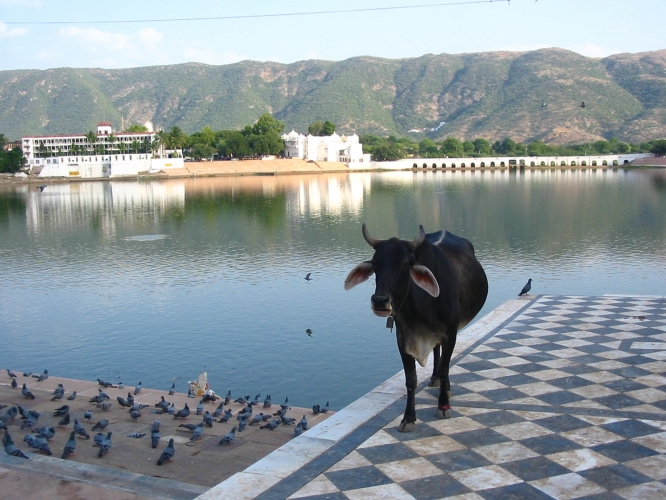 INDE076.jpg