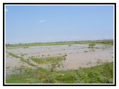 imag040.jpg